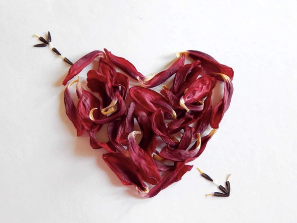 Comment trouver l'amour en ligne : les meilleures applications de rencontres en Belgique